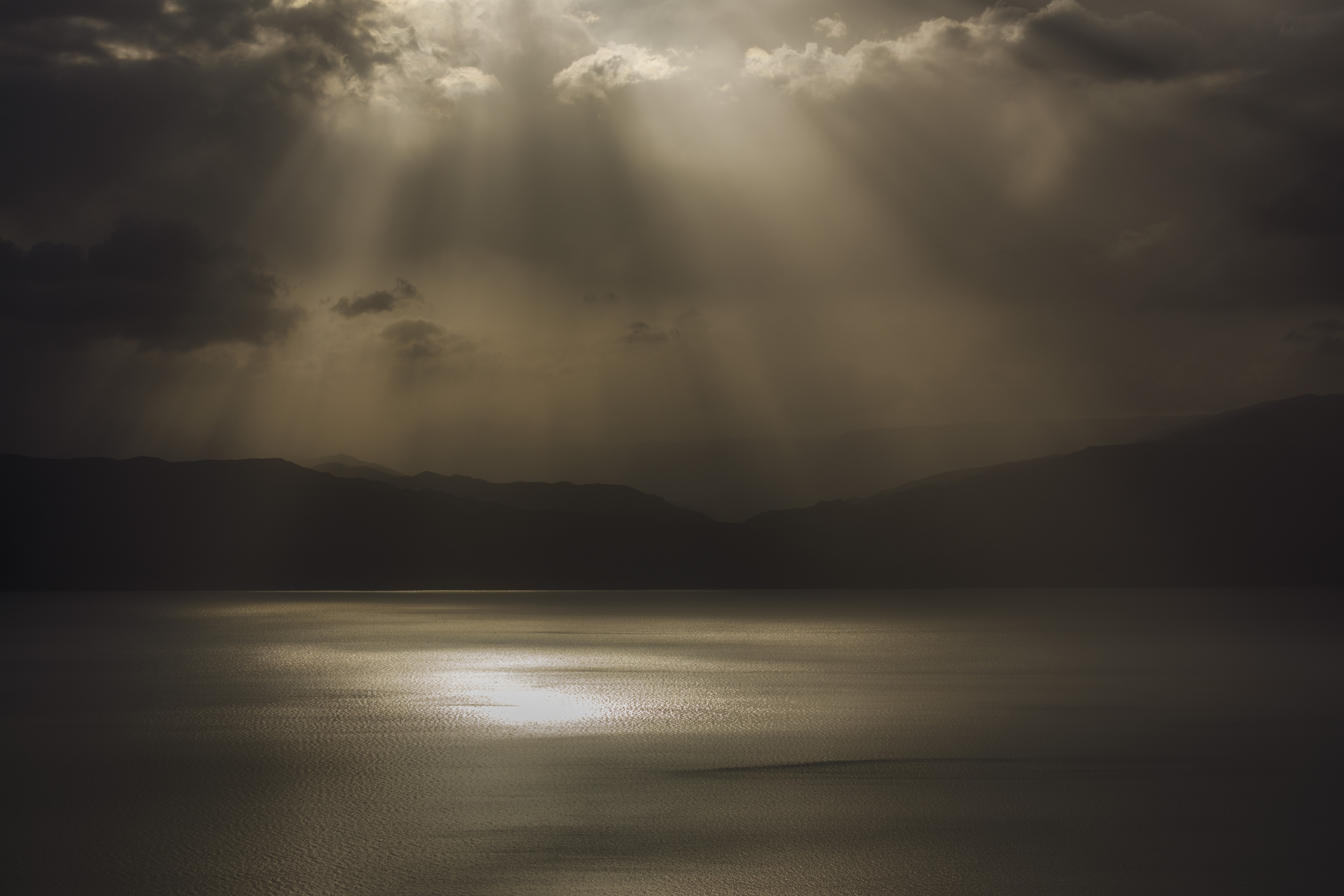 20210312-March 12, 2021-065001-065001-Edit.jpg